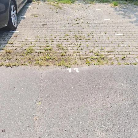 Ferienwohnung Buhne 11 - Friedrichskoog-spitze - Gegenueber Eltern-kind-klinik